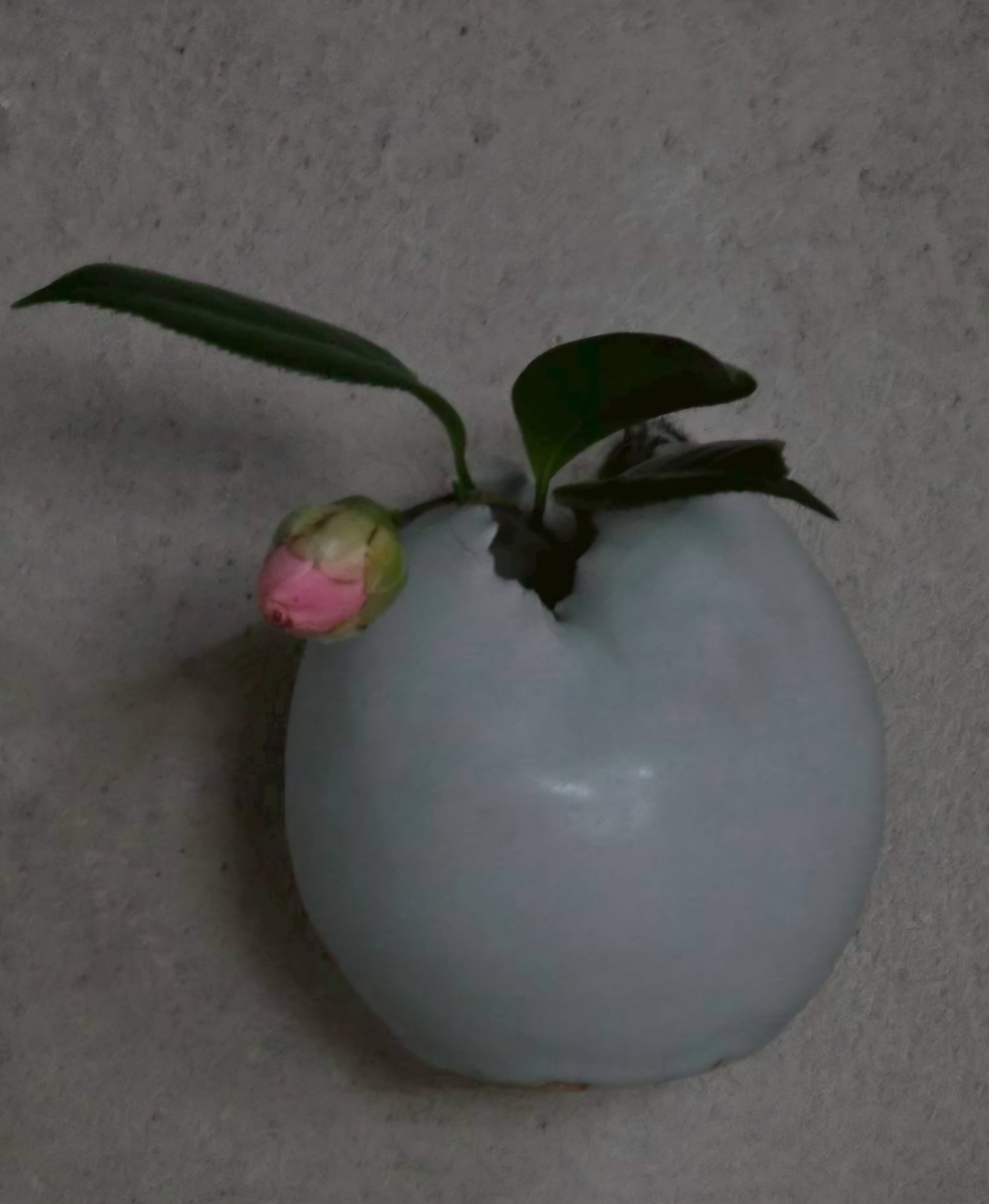 12. Ultimate Sky Blue Celadon Wall Vase