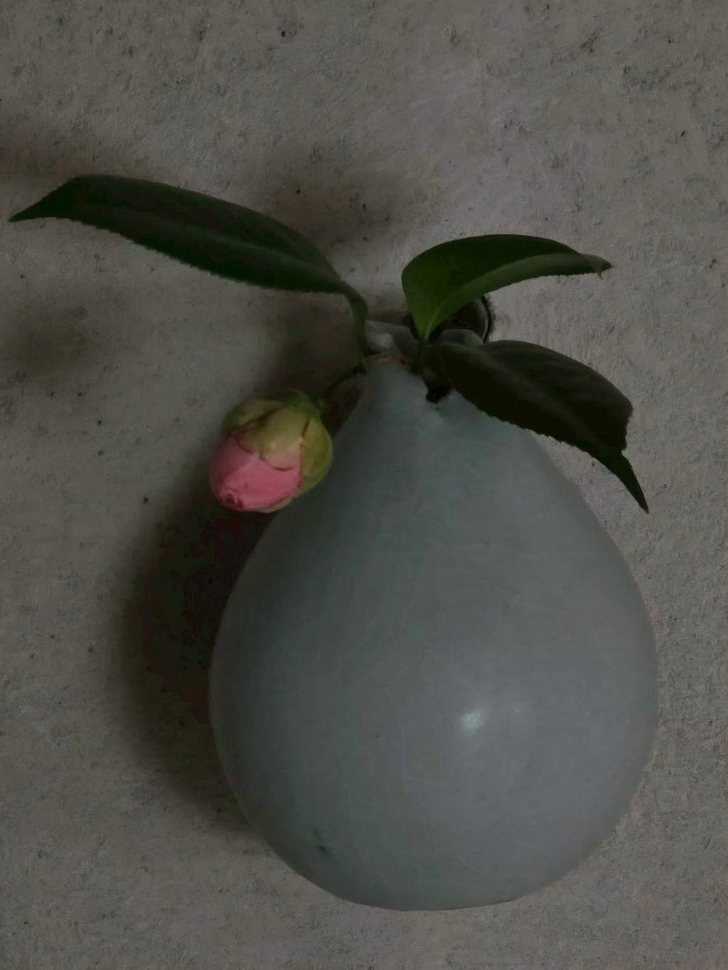 11. Extreme Sky Celadon
