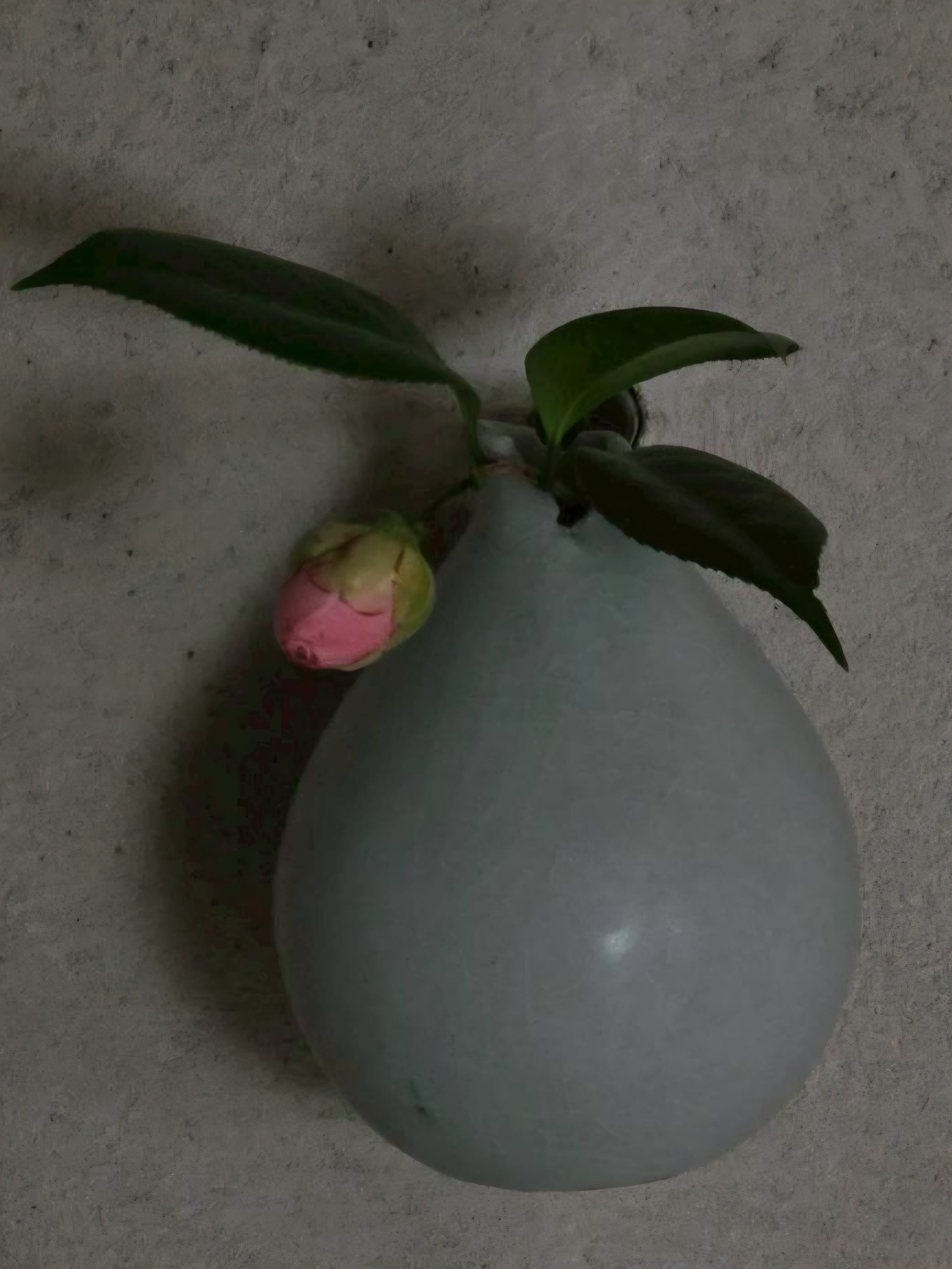 11. Extreme Sky Celadon